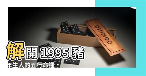 1995豬五行